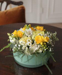 Alternative view of Asetelma Freesia