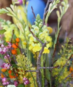 Asetelma Luksus Sitruuna