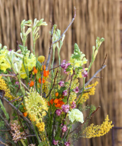 Asetelma Luksus Sitruuna