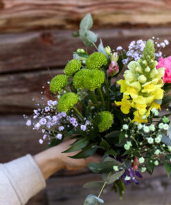 Alternative view of Kimppu Harso