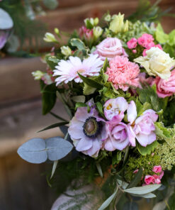 Alternative view of Kimppu Hortensia