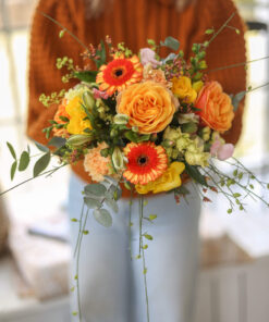 Alternative view of Kimppu Oliivi