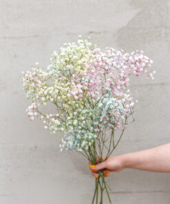 Värjätty harsokukka 5 kpl