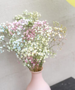 Alternative view of Värjätty harsokukka 5 kpl