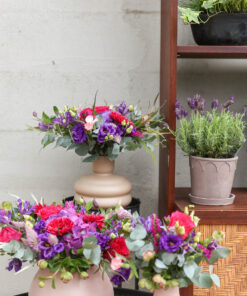 Alternative view of Kimppu Siniviuhka