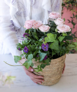 Äitienpäiväistutus Ruusu