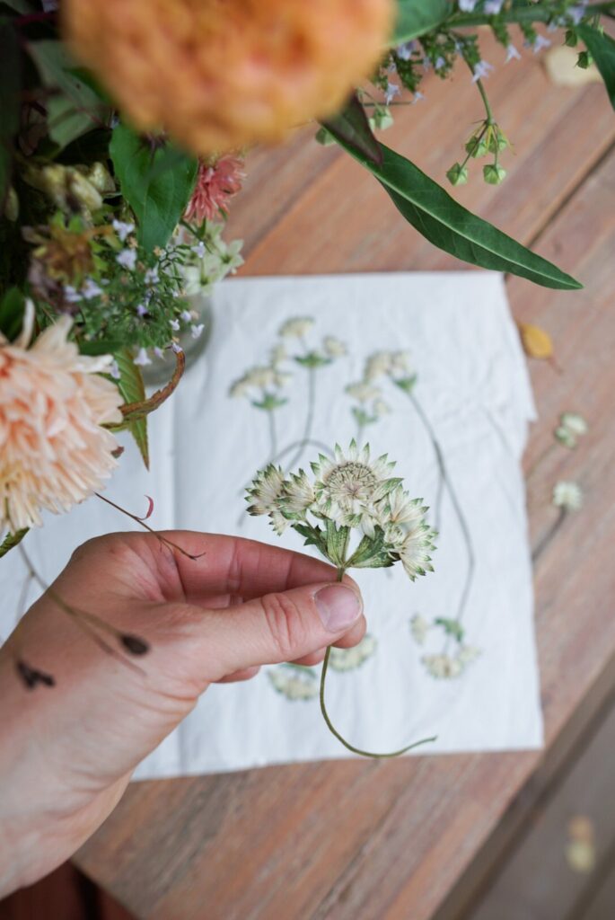 Prässätty korentörmäkukka