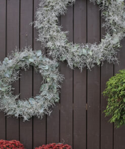 Tummalla seinällä roikkuu kaksi eri kokoista hopelankakranssia