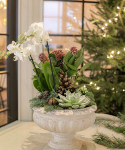 erilaisista joulukukista ja kasveista valmistettu istutus jalalliseen astiaan