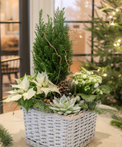 Jouluistutus Tulilatva