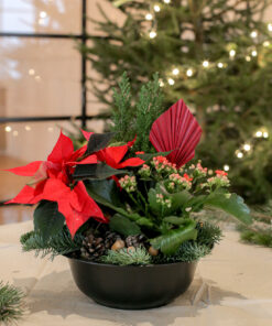 punaisista kukista jouluistutus