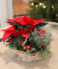 punainen jouluasetelma