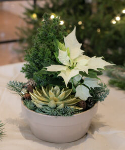 Valkoisen sävyisit kukista tehty jouluistutus