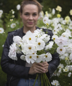 Alternative view of Punakosmos 'Cupcake Blush'