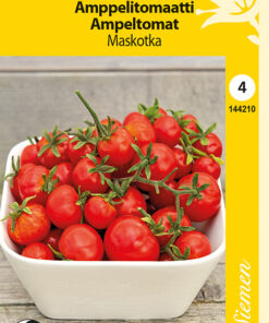 Amppelitomaatti 'Maskotka'
