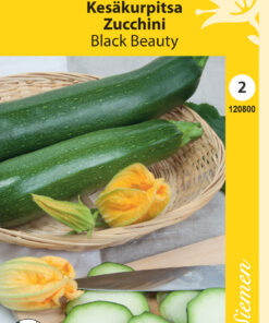 Kesäkurpitsa 'Balck Beauty'