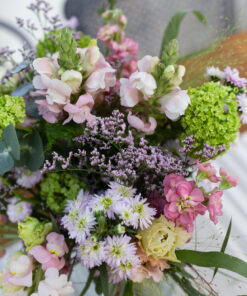 Alternative view of Kimppu Leukoija